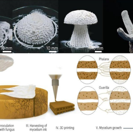 上図：菌を混ぜて3Dプリントしたロボットの皮膚　下図：3Dプリントするプロセス　出典：論文「Three-dimensional-printing-of-mycelium-hydrogels-into-living-complex-materials」